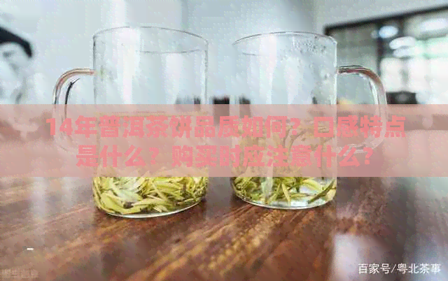 14年普洱茶饼品质如何？口感特点是什么？购买时应注意什么？