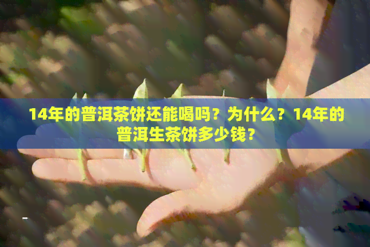 14年的普洱茶饼还能喝吗？为什么？14年的普洱生茶饼多少钱？