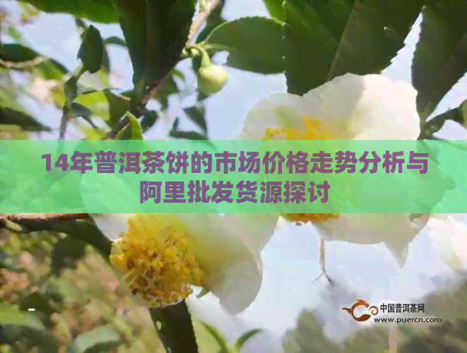 14年普洱茶饼的市场价格走势分析与阿里批发货源探讨