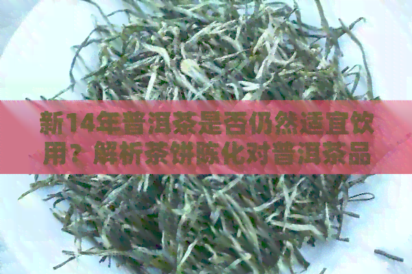 新14年普洱茶是否仍然适宜饮用？解析茶饼陈化对普洱茶品质的影响