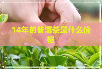 14年的普洱茶是什么价格