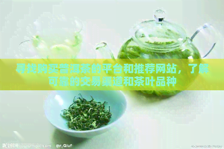 寻找购买普洱茶的平台和推荐网站，了解可靠的交易渠道和茶叶品种