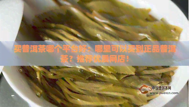 买普洱茶哪个平台好：哪里可以买到正品普洱茶？推荐优质网店！