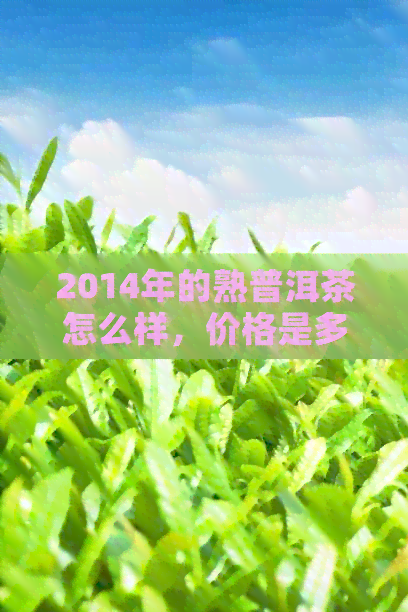 2014年的熟普洱茶怎么样，价格是多少？能喝吗？