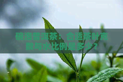 碗泡普洱茶：合适茶叶克数与水比例是多少？