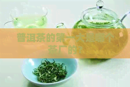 普洱茶的之一大是哪个茶厂的？