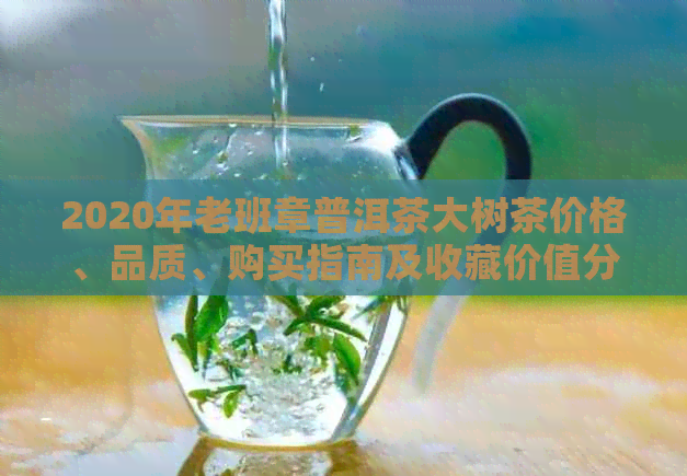 2020年老班章普洱茶大树茶价格、品质、购买指南及收藏价值分析