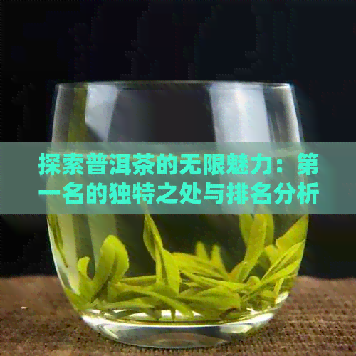 探索普洱茶的无限魅力：之一名的独特之处与排名分析