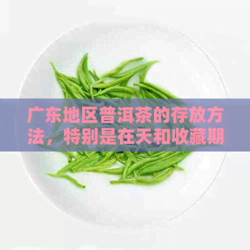 广东地区普洱茶的存放方法，特别是在天和收藏期间。请分享您的建议。