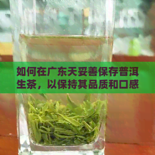 如何在广东天妥善保存普洱生茶，以保持其品质和口感？