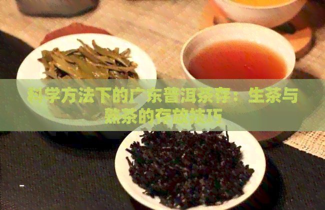 科学方法下的广东普洱茶存：生茶与熟茶的存放技巧