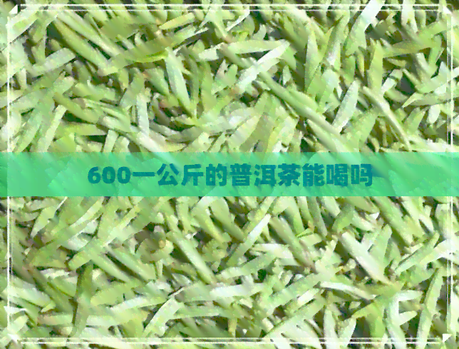 600一公斤的普洱茶能喝吗