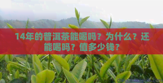 14年的普洱茶能喝吗？为什么？还能喝吗？值多少钱？