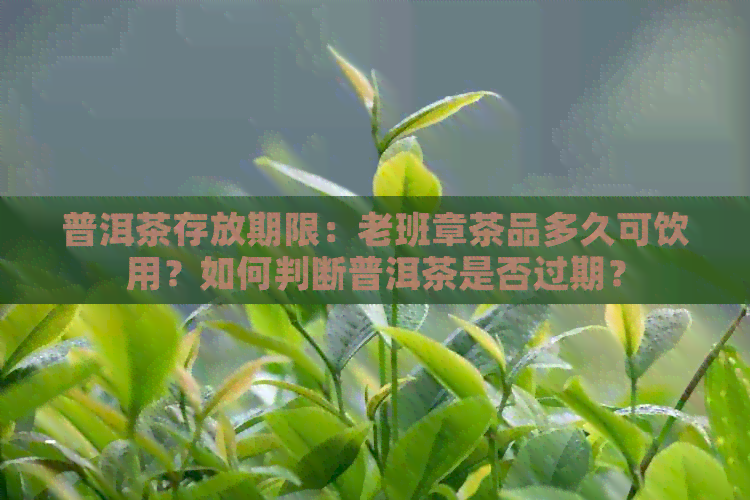 普洱茶存放期限：老班章茶品多久可饮用？如何判断普洱茶是否过期？