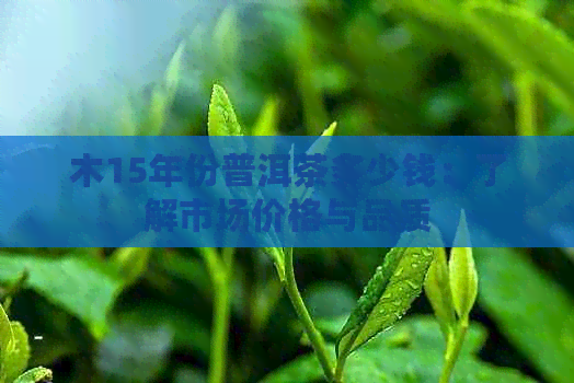 木15年份普洱茶多少钱：了解市场价格与品质