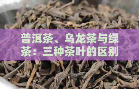 普洱茶、乌龙茶与绿茶：三种茶叶的区别与选择