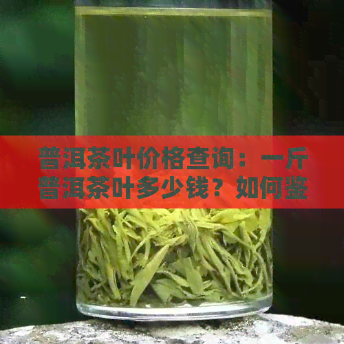 普洱茶叶价格查询：一斤普洱茶叶多少钱？如何鉴别优质普洱茶？