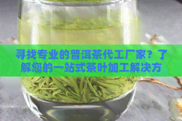 寻找专业的普洱茶代工厂家？了解您的一站式茶叶加工解决方案