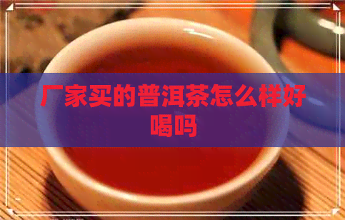 厂家买的普洱茶怎么样好喝吗