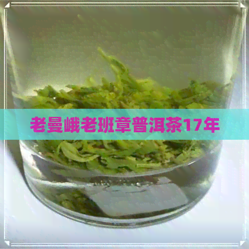 老曼峨老班章普洱茶17年