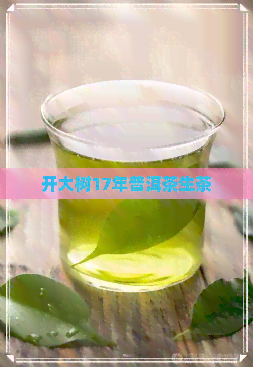 开大树17年普洱茶生茶