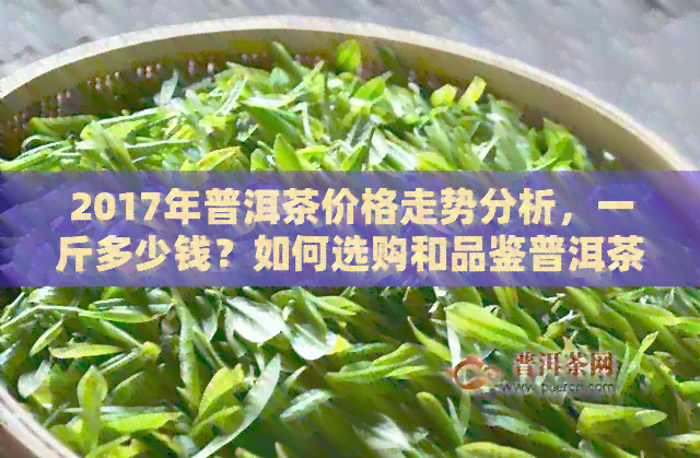 2017年普洱茶价格走势分析，一斤多少钱？如何选购和品鉴普洱茶？