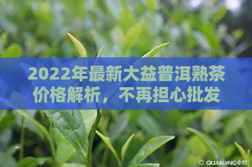 2022年最新大益普洱熟茶价格解析，不再担心批发与零售的差异