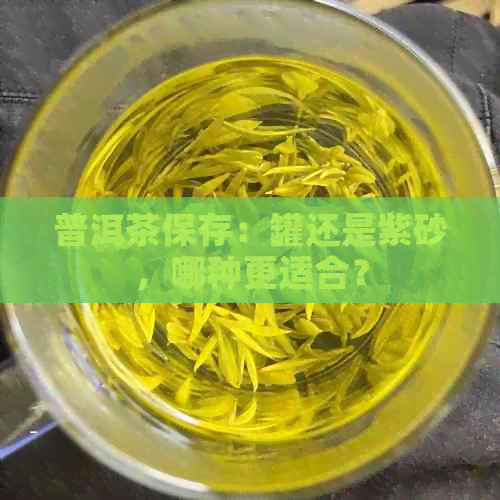 普洱茶保存：罐还是紫砂，哪种更适合？