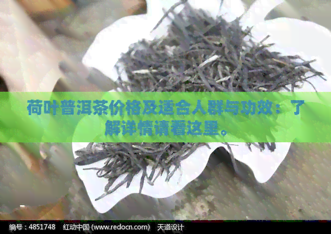 荷叶普洱茶价格及适合人群与功效：了解详情请看这里。