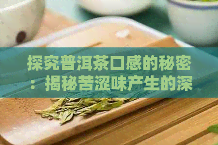 探究普洱茶口感的秘密：揭秘苦涩味产生的深层原因