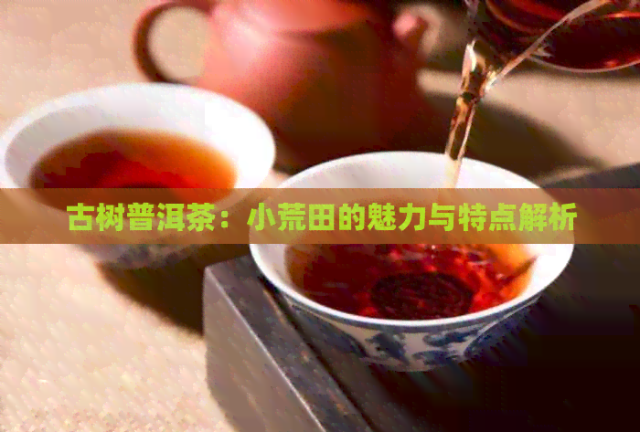 古树普洱茶：小荒田的魅力与特点解析