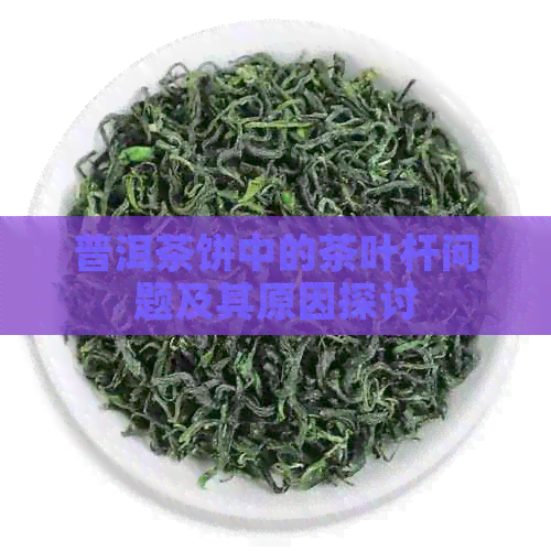 普洱茶饼中的茶叶杆问题及其原因探讨