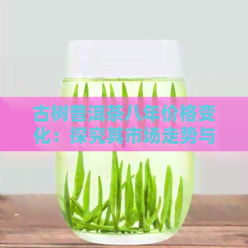 古树普洱茶八年价格变化：探究其市场走势与价值评估