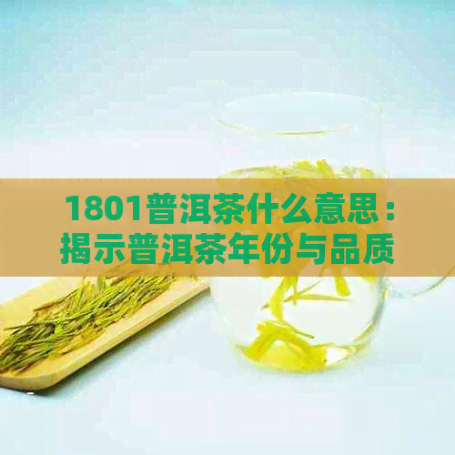 1801普洱茶什么意思：揭示普洱茶年份与品质之间的关系