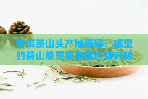 普洱茶山头产地选择：哪里的茶山能更好地促进茶叶转化？