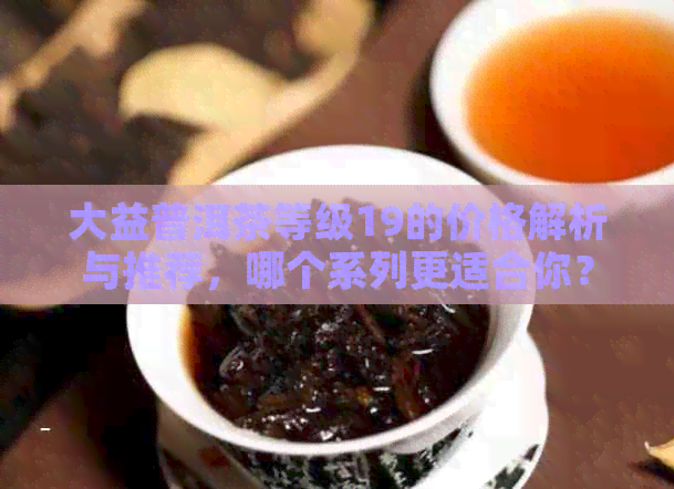 大益普洱茶等级19的价格解析与推荐，哪个系列更适合你？