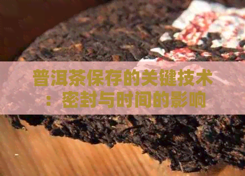 普洱茶保存的关键技术：密封与时间的影响