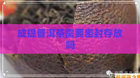 成提普洱茶需要密封存放吗