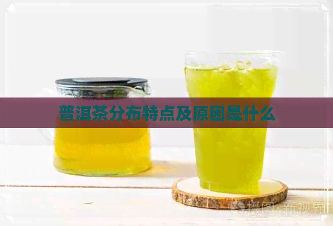 普洱茶分布特点及原因是什么