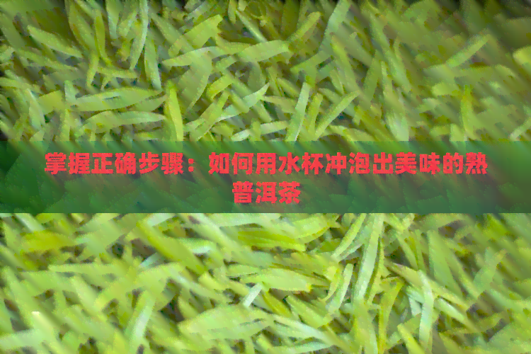 掌握正确步骤：如何用水杯冲泡出美味的熟普洱茶