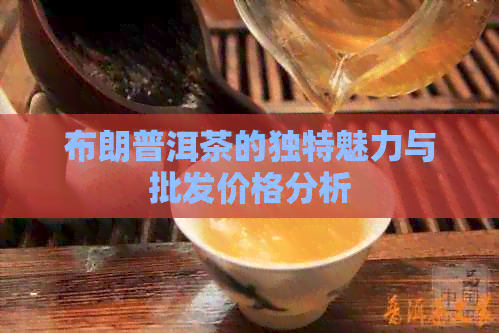 布朗普洱茶的独特魅力与批发价格分析