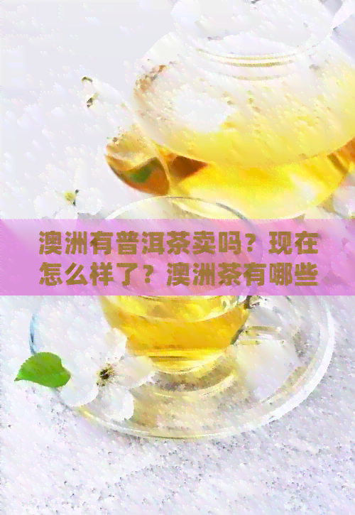 澳洲有普洱茶卖吗？现在怎么样了？澳洲茶有哪些值得推荐的？