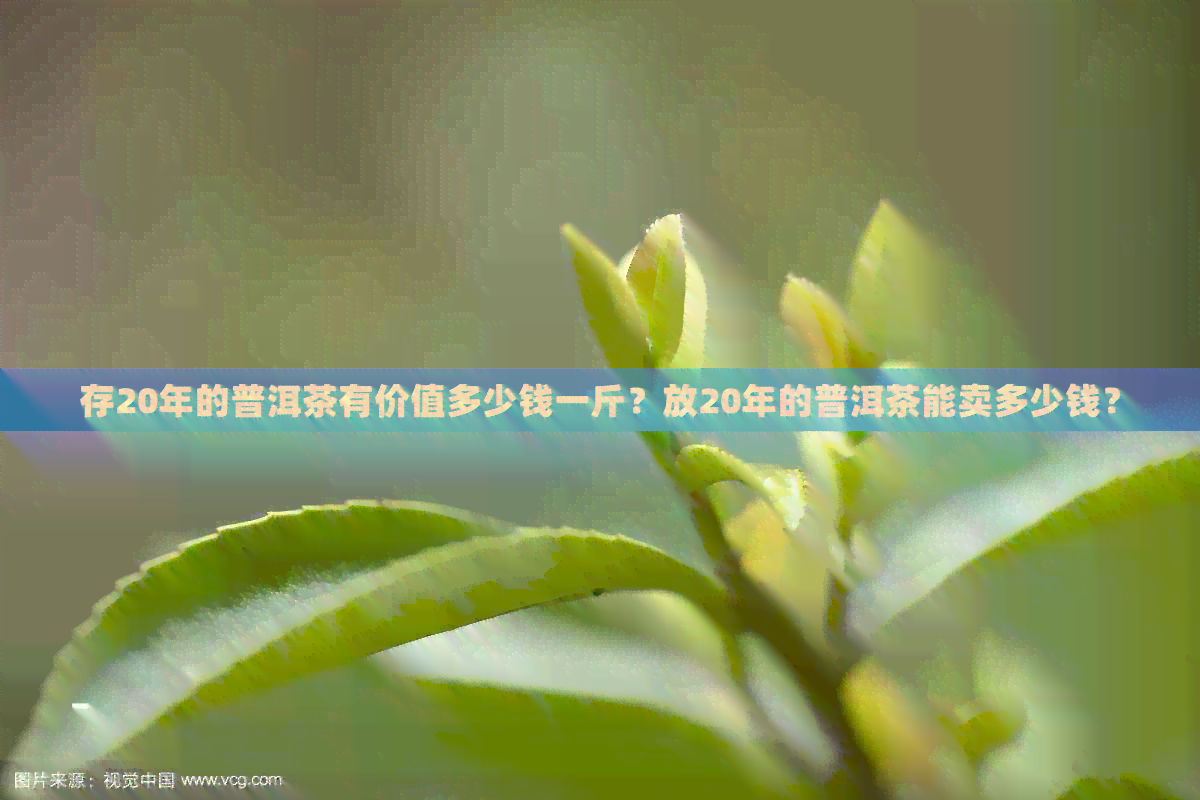 存20年的普洱茶有价值多少钱一斤？放20年的普洱茶能卖多少钱？