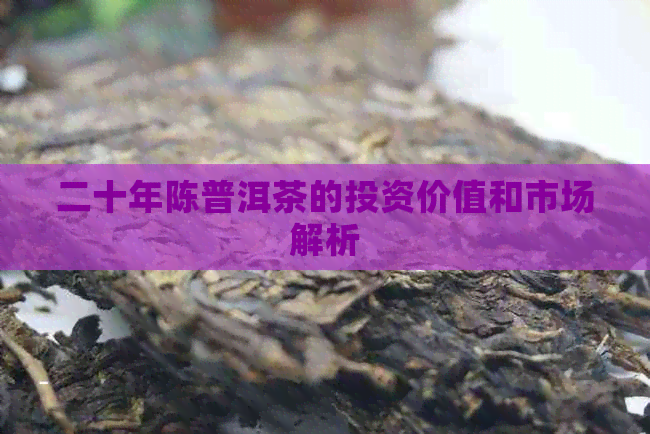 二十年陈普洱茶的投资价值和市场解析