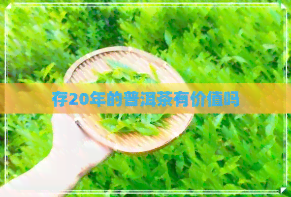 存20年的普洱茶有价值吗