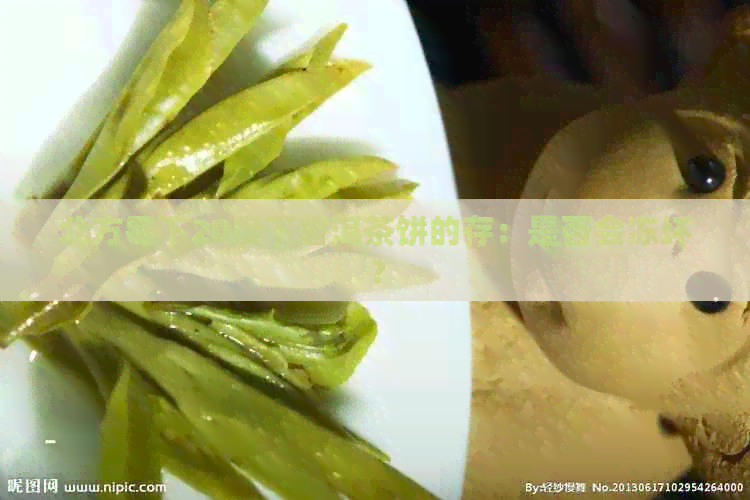 北方零下20度下普洱茶饼的存：是否会冻坏？