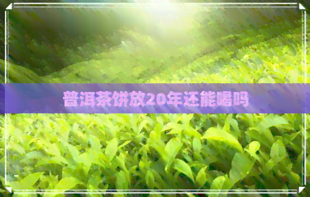 普洱茶饼放20年还能喝吗