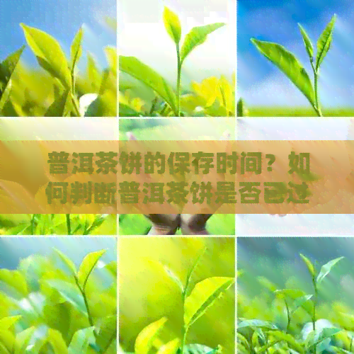 普洱茶饼的保存时间？如何判断普洱茶饼是否已过品尝期？