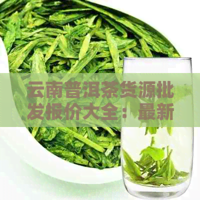 云南普洱茶货源批发报价大全：最新生茶与熟茶价格分析 - 