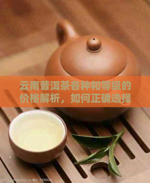 云南普洱茶各种和等级的价格解析，如何正确选择购买？